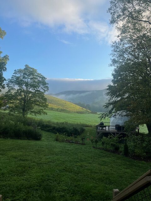 Glamping Wild - Association of Nature & Forest Therapy