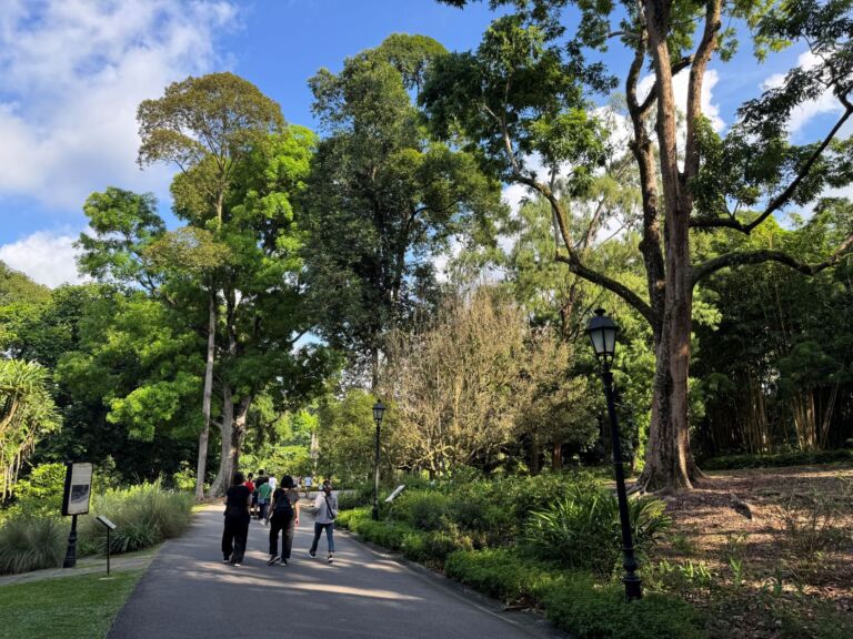 Walk in Nature @ Saraca Stream - Association of Nature & Forest Therapy