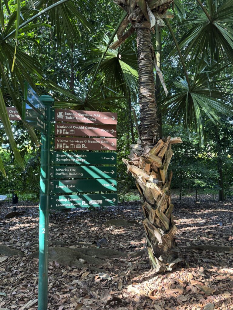 Walk in Nature @ Saraca Stream - Association of Nature & Forest Therapy