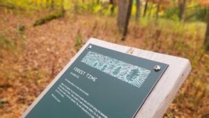 Silverwood Park Forest Therapy Trail - Association of Nature & Forest Therapy