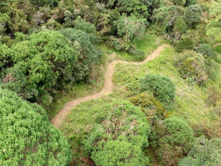 Nature Preserve La Ilusion Trail - Association of Nature & Forest Therapy