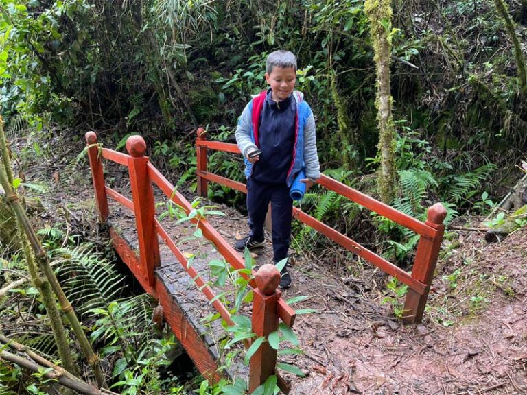 Nature Preserve La Ilusion Trail - Association of Nature & Forest Therapy