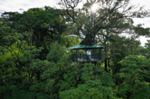 Land Of Senses - Association of Nature & Forest Therapy