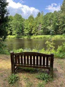 Lazy River Playground & Retreat Center - Association of Nature & Forest Therapy