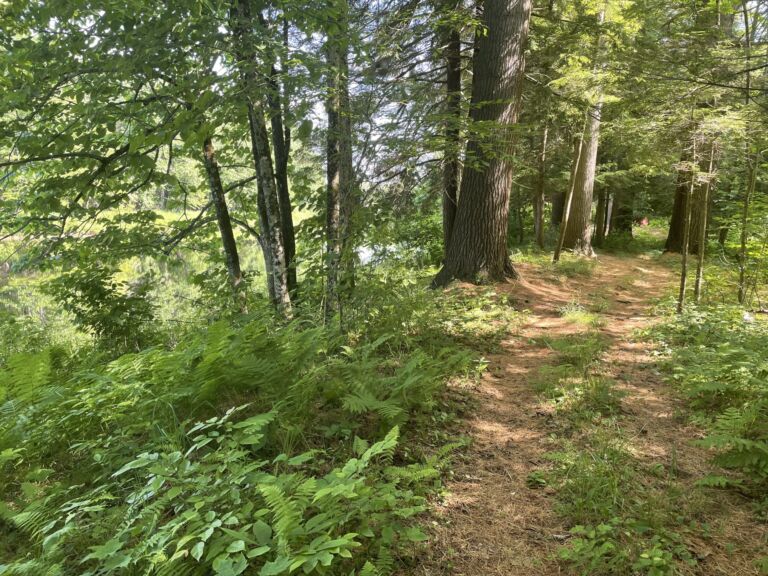 Lazy River Playground & Retreat Center - Association of Nature & Forest Therapy