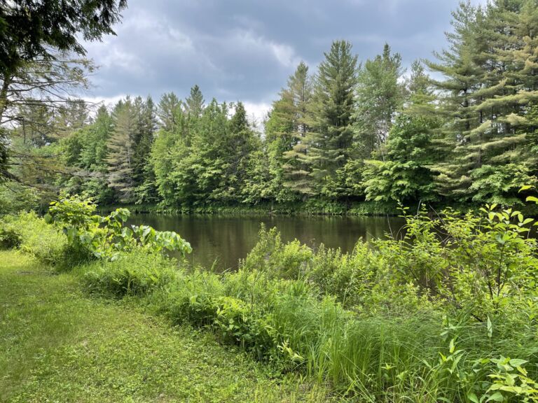 Lazy River Playground & Retreat Center - Association of Nature & Forest Therapy