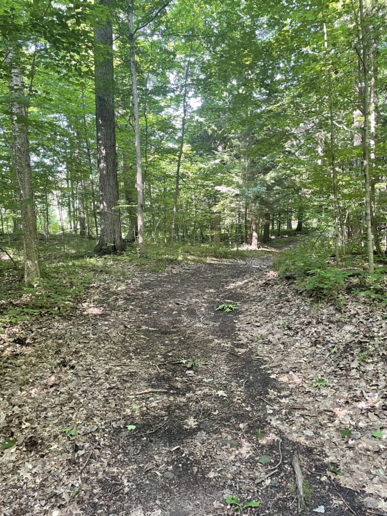 Lazy River Playground & Retreat Center - Association of Nature & Forest Therapy