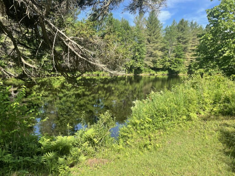 Lazy River Playground & Retreat Center - Association of Nature & Forest Therapy