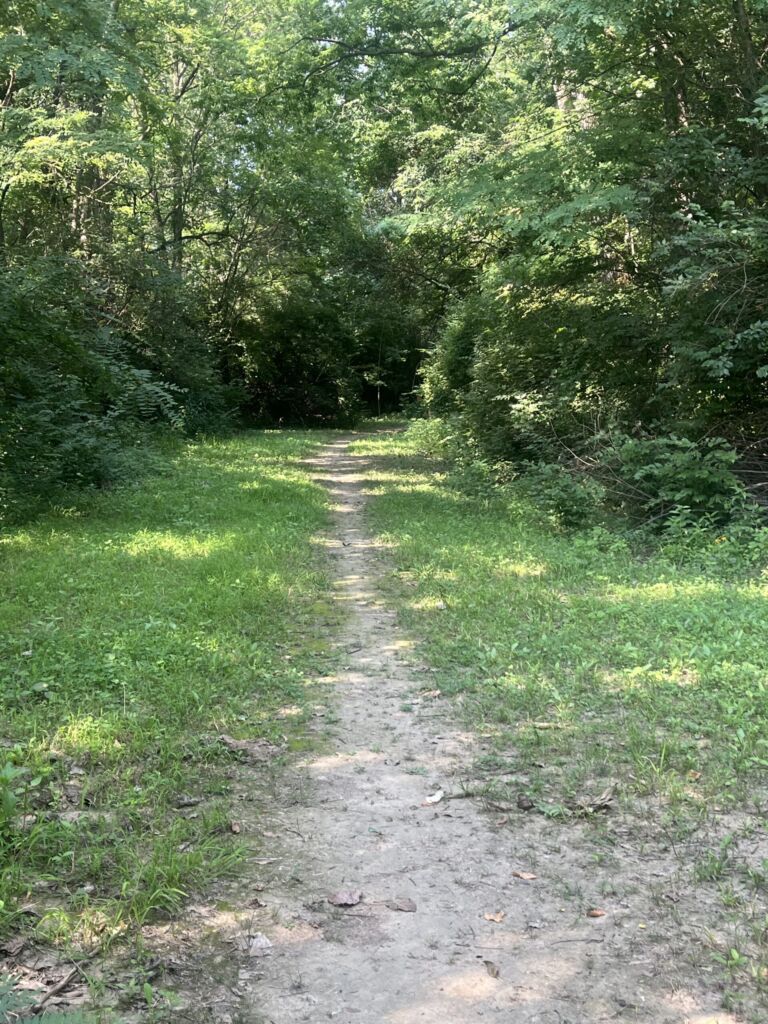 Nature Trails East - Association of Nature & Forest Therapy
