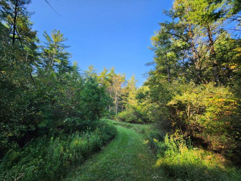 Owl Pines Nature Trail - Association of Nature & Forest Therapy