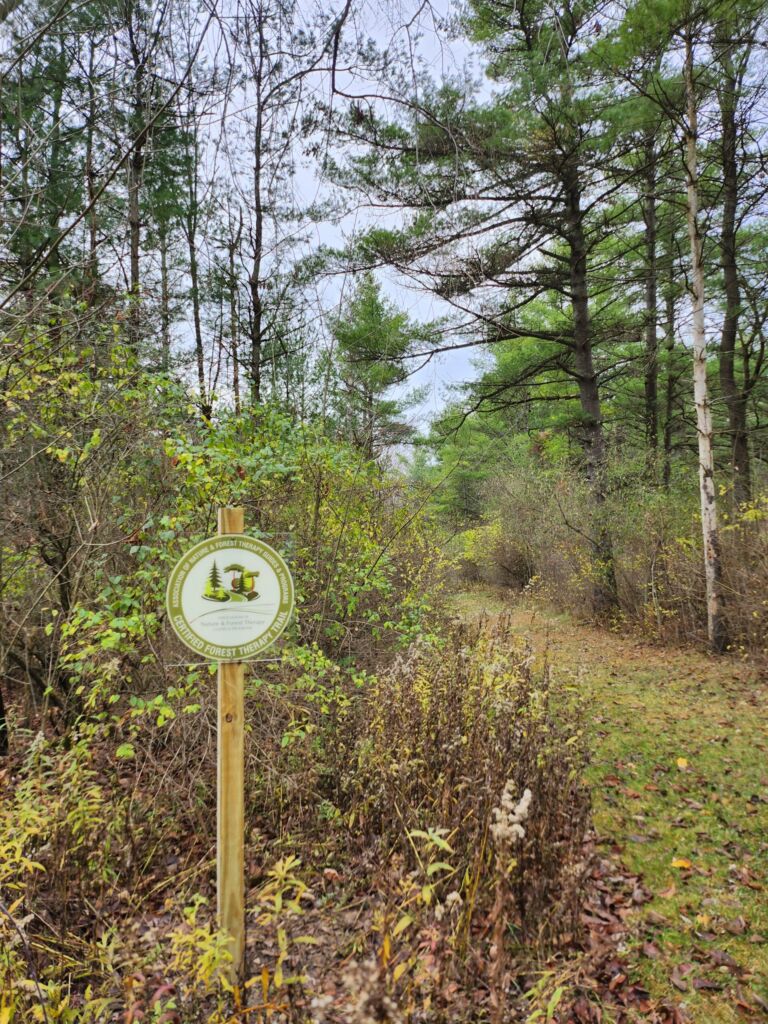 Owl Pines Nature Trail - Association of Nature & Forest Therapy