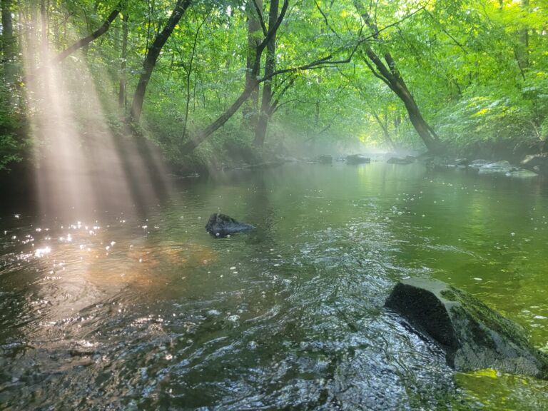 Rocky Water Path - Association of Nature & Forest Therapy