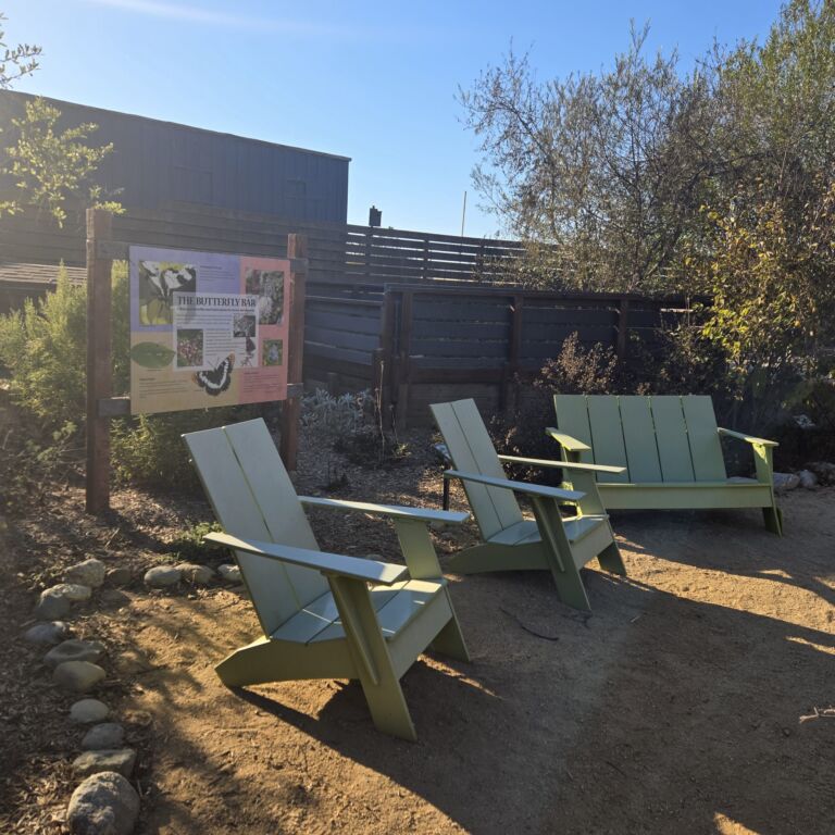 Pinnacle Park Loop Trail - Association of Nature & Forest Therapy