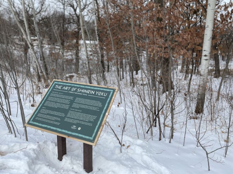 Silverwood Park Forest Therapy Trail - Association of Nature & Forest Therapy