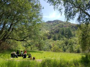 Creekside Nature Trail - Association of Nature & Forest Therapy