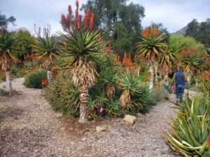 Taft Gardens And Nature Preserve - Association of Nature & Forest Therapy
