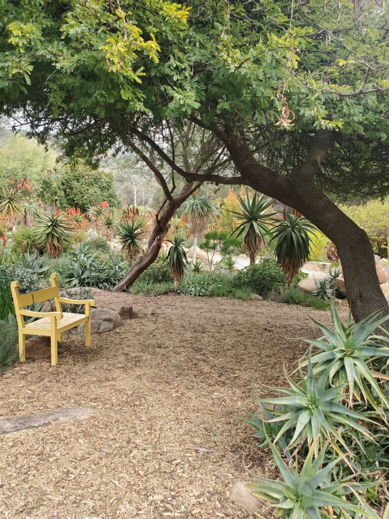 Taft Gardens And Nature Preserve - Association of Nature & Forest Therapy