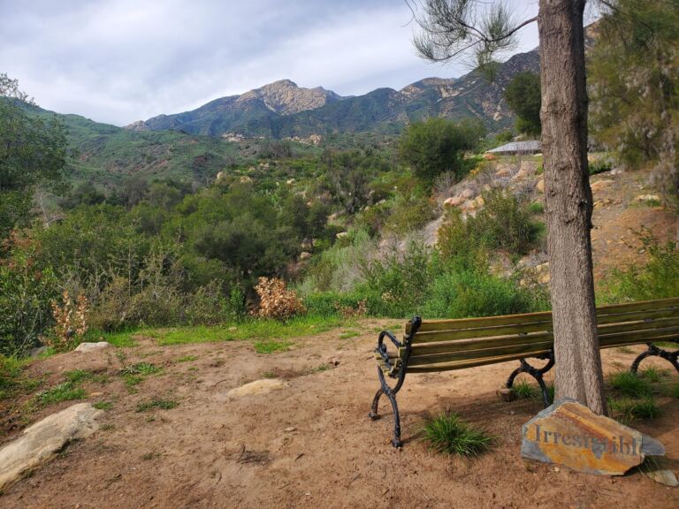 Taft Gardens And Nature Preserve - Association of Nature & Forest Therapy