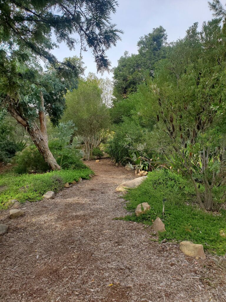Taft Gardens And Nature Preserve - Association of Nature & Forest Therapy