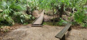 Wonderfield Farm - Association of Nature & Forest Therapy