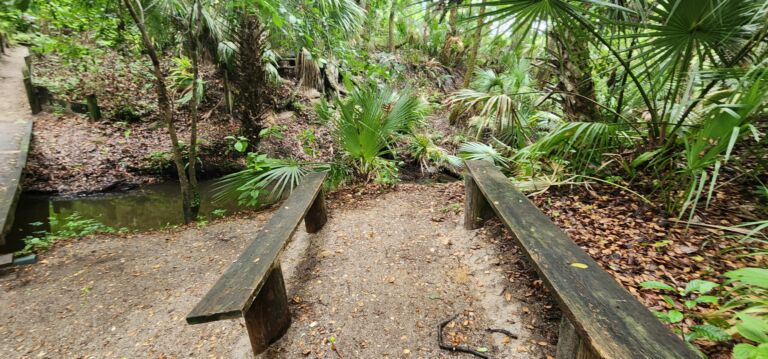 Wonderfield Farm - Association of Nature & Forest Therapy