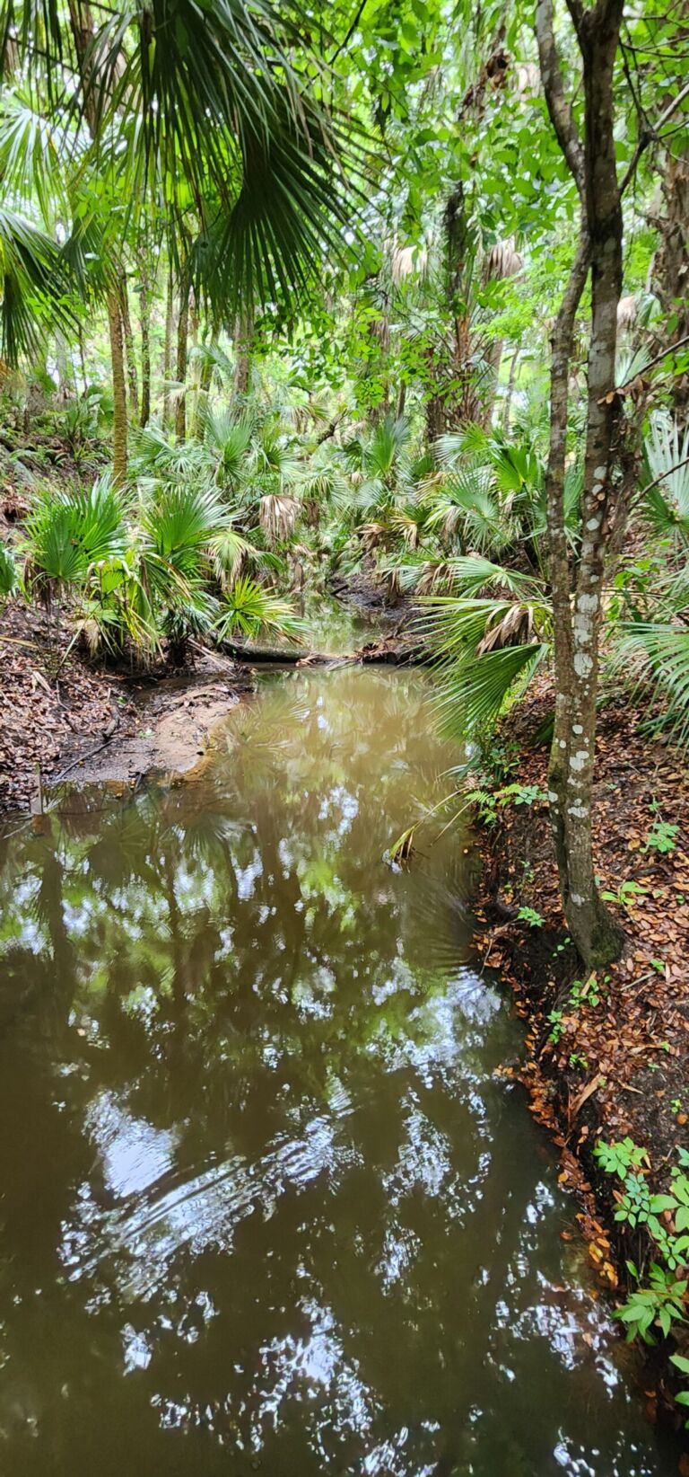 Wonderfield Farm - Association of Nature & Forest Therapy