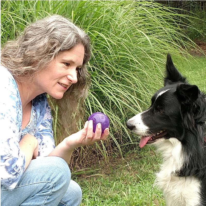 Diana L. Akeret, LCSW, LCADC