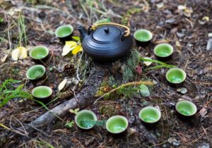FB Tea C 20 - Association of Nature & Forest Therapy