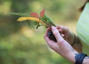 FB Treasures C 20 - Association of Nature & Forest Therapy