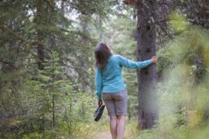 FB Tree 4 20 - Association of Nature & Forest Therapy