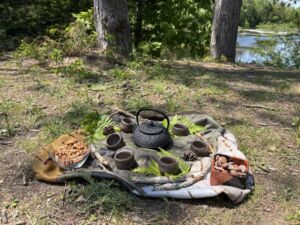 Susan Aitken - Association of Nature & Forest Therapy