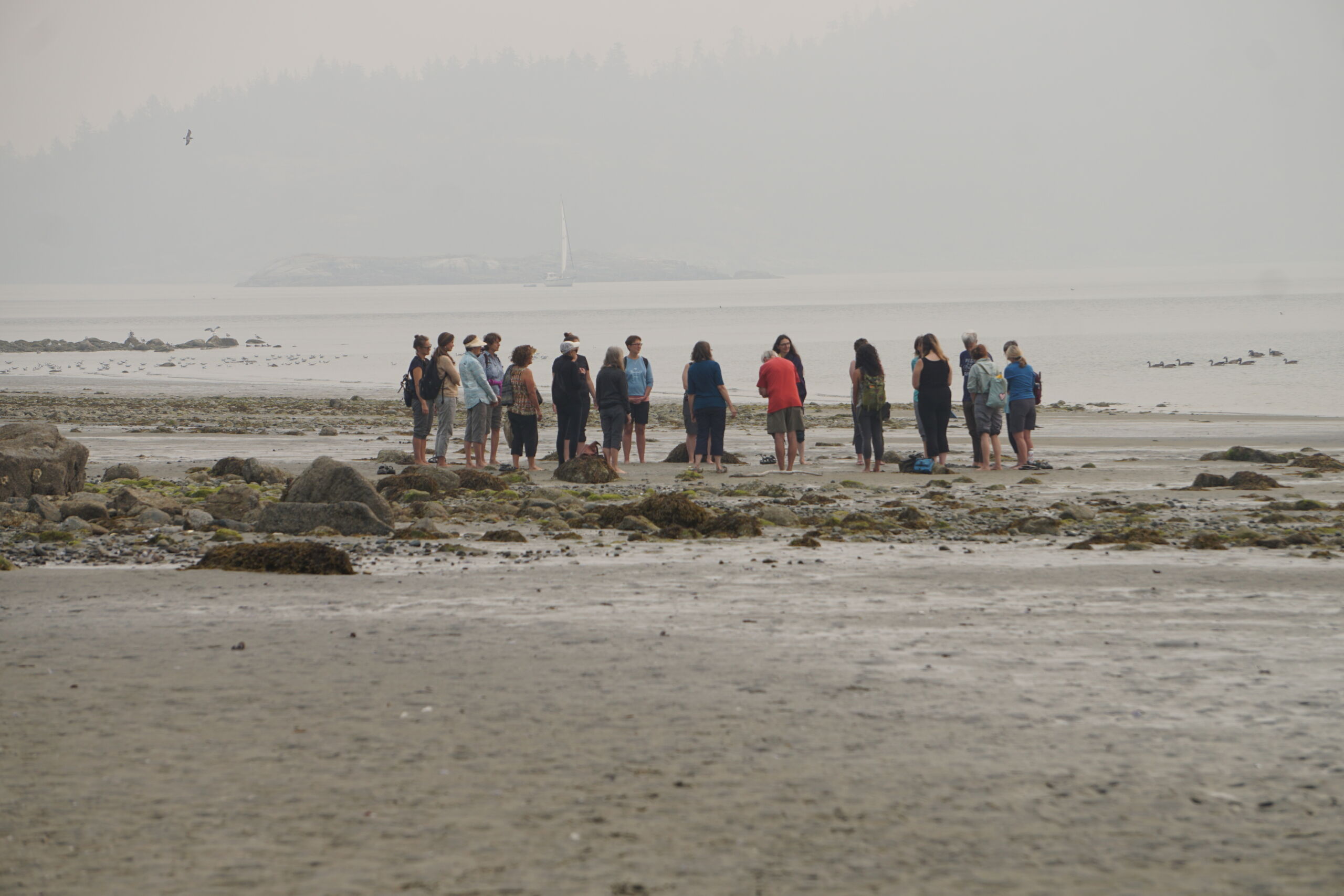 Forest Therapy Guide certification Big Photo Footer - Association of Nature & Forest Therapy