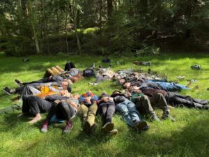 Group Sit Spot - Association of Nature & Forest Therapy