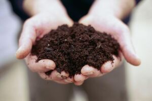 Hands Holding Soil - Association of Nature & Forest Therapy