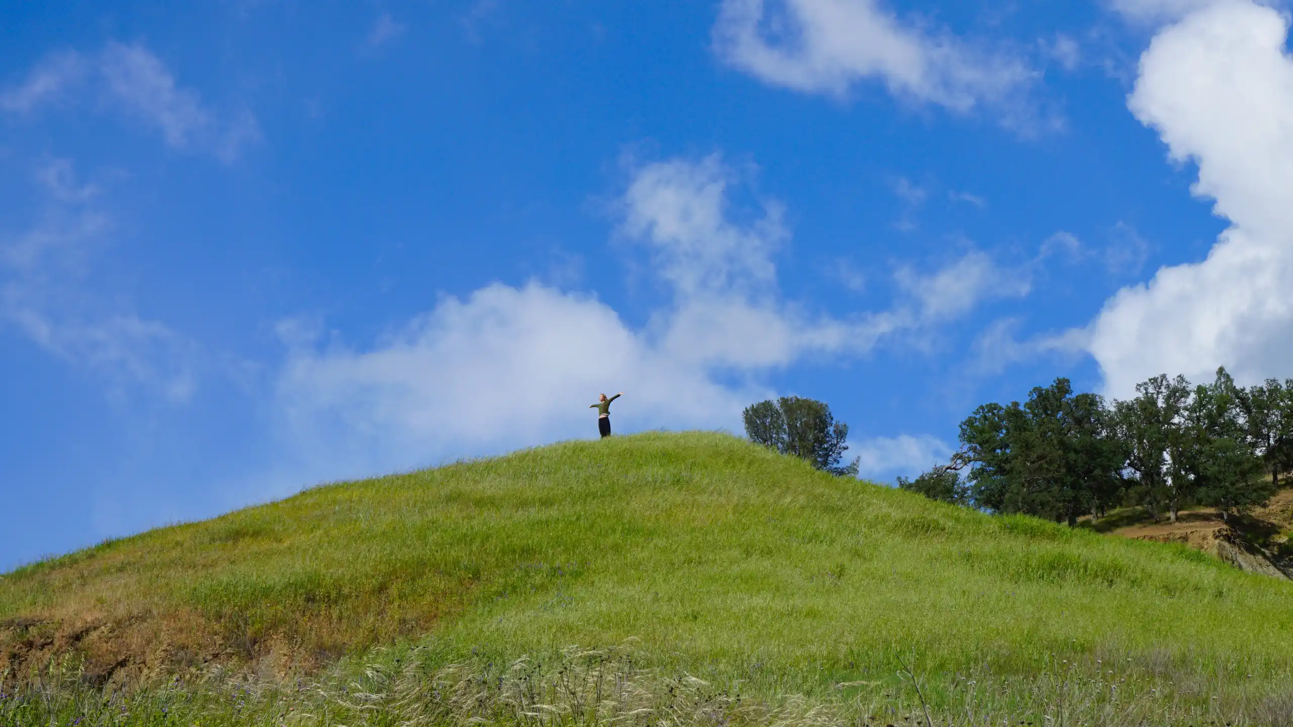 How we fly - Association of Nature & Forest Therapy