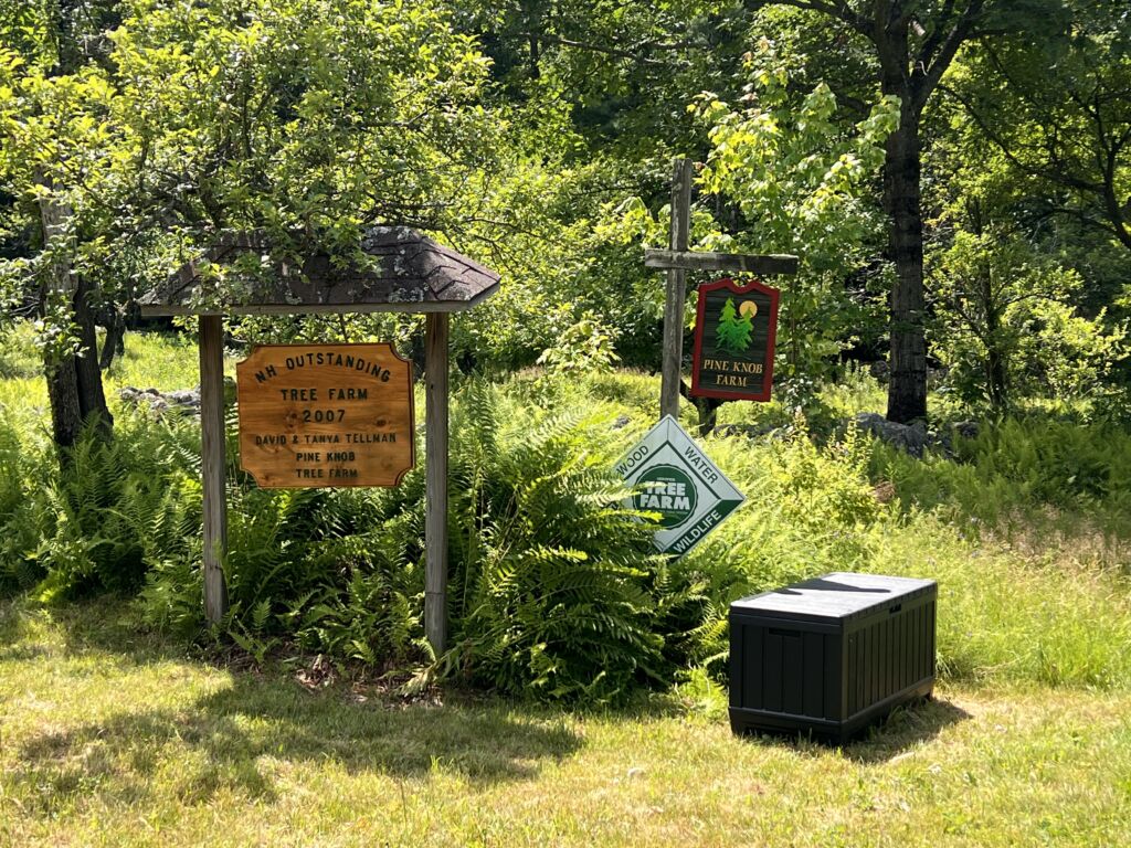 Nature And Forest Therapy - Association of Nature & Forest Therapy