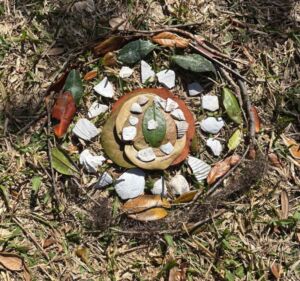 Susan Aitken - Association of Nature & Forest Therapy