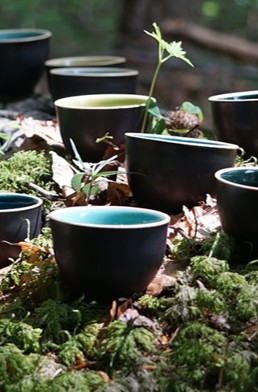 Forest Therapy Guide Certification - Start Online - Association of Nature & Forest Therapy