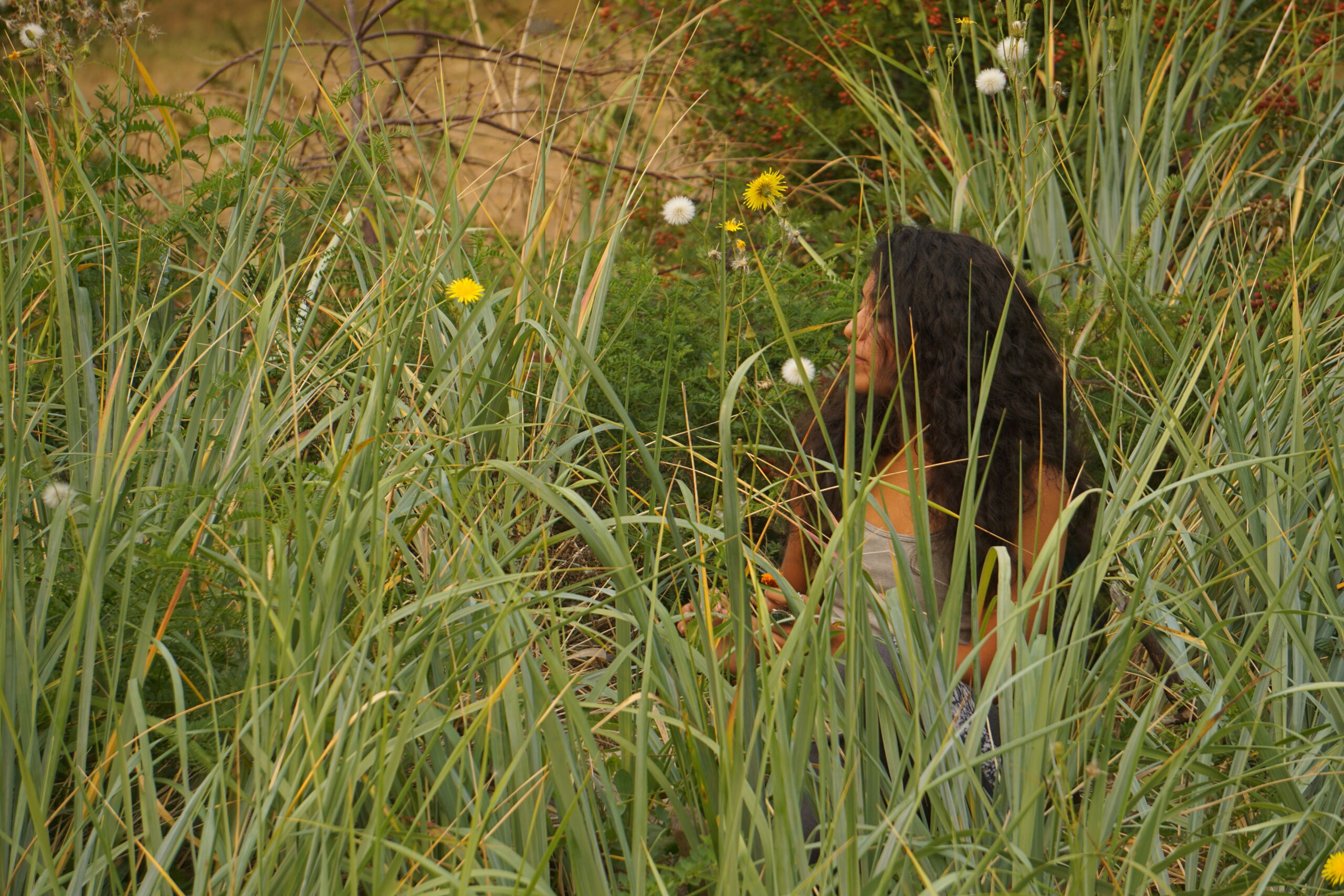 Start Online First Who This Is For - Association of Nature & Forest Therapy