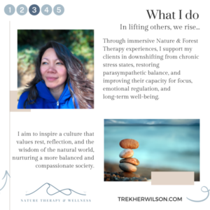 Start here 3 My Mission - Association of Nature & Forest Therapy