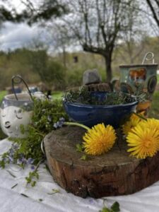 Tea for Two - Association of Nature & Forest Therapy