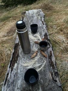 Tea i fossarskogi 1 - Association of Nature & Forest Therapy