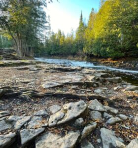 WaterfallStones Enhance - Association of Nature & Forest Therapy