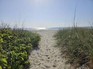Come Wander With Me - Association of Nature & Forest Therapy