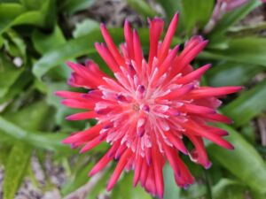 Come Wander With Me - Association of Nature & Forest Therapy