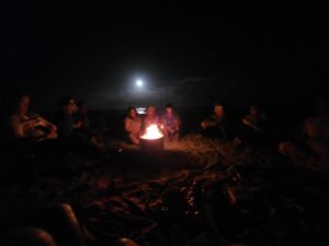 Come Wander With Me - Association of Nature & Forest Therapy