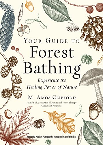 Nature And Forest Therapy - Association of Nature & Forest Therapy