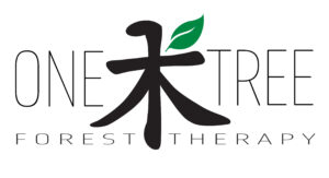 Nature And Forest Therapy - Association of Nature & Forest Therapy