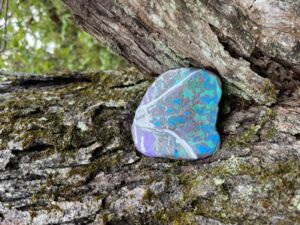 Nature And Forest Therapy - Association of Nature & Forest Therapy