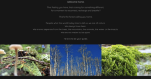 Nature And Forest Therapy - Association of Nature & Forest Therapy